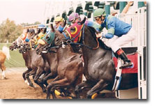 Del Mar Computer Repair San Diego Computer Wiz.com