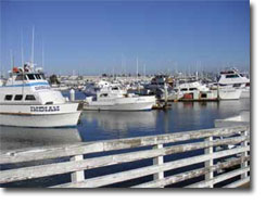 Point Loma Computer Repair - San Diego Computer Wiz.com